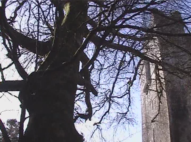 Emily's Garden- The Castle