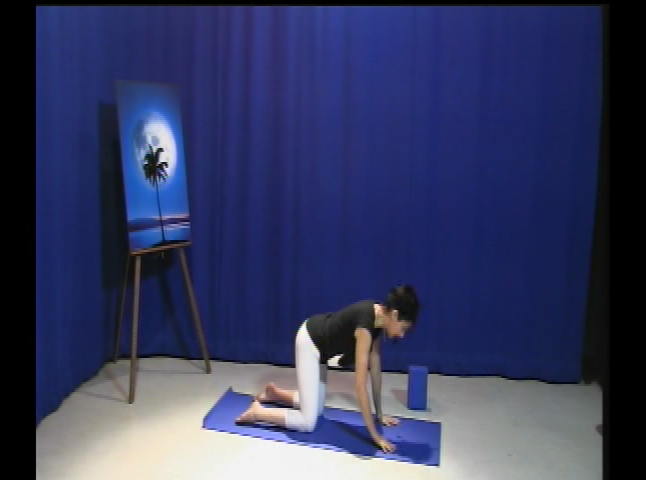 The Yoga Show