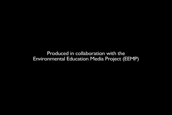 Link TV - Earth Focus