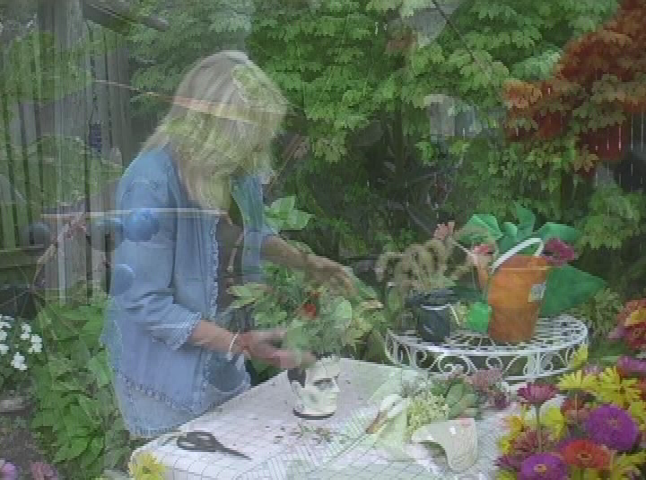 Emily's Garden