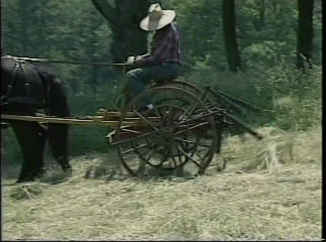 Along The Blackstone - Haying Season